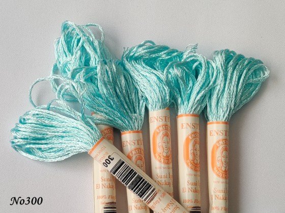 300 (DMC747) (2) (Medium) 560x560